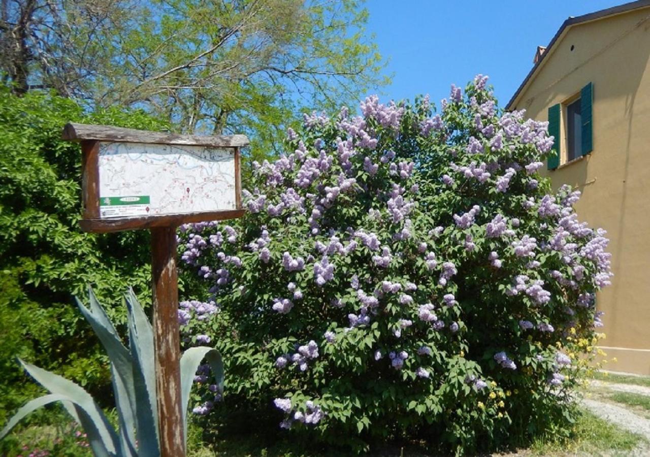Apartamento Casa Delle Ginestre Cesena Exterior foto